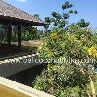 Finch Villa 2 Gallery