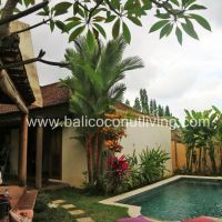 Villa Jember Gallery