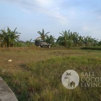 5 Are Land In Tabanan Gallery