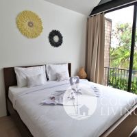 Dahlia 12 Gallery