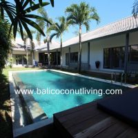 Villa Daisy Gallery
