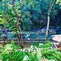 Villa Khatulistiwa Gallery