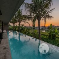 The Elysian Villa Gallery