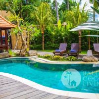 Villa Naura 3 Gallery