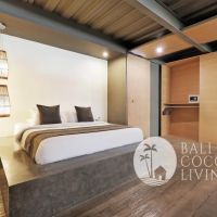 Alexandria Apartment Gallery