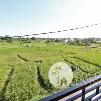 Rumah Tera Gallery