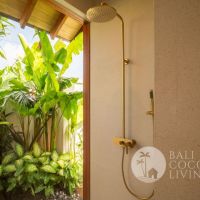 Forest Bloom Villa 2 Gallery