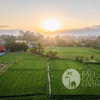 Villa Ichiban Gallery