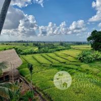 Villa Lakopa Gallery