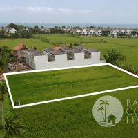 For rent, land 700 sqm Gallery