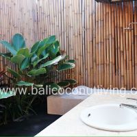 Villa Moko Gallery