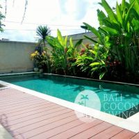 Villa Pineapple Gallery