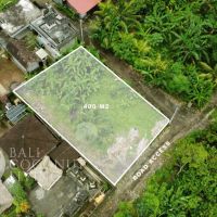 4 Are Land For Sale - Ubud Gallery