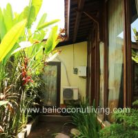 Villa Banana 1 Gallery