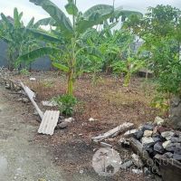 Land 300 sqm, For rent Gallery