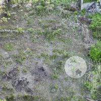 16.5 Are, Land for Sale Gallery