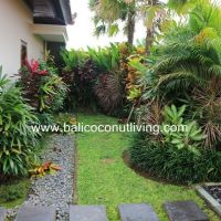 Villa Mata Berawa Gallery