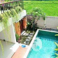 Villa Pineapple Gallery