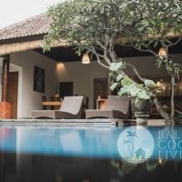 Villa Vanessa Gallery