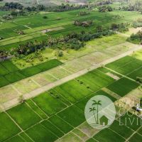 Land For Sale - Tabanan Gallery