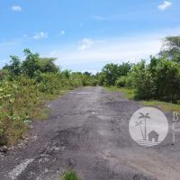 For sale 600 sqm land Gallery