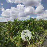 26 Are Land for lease Gallery