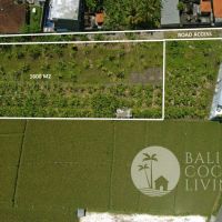 1600 Sqm, For rent land Gallery