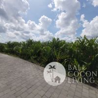 26 Are Land for lease Gallery