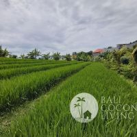 10 Are Land For Lease Gallery