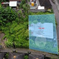 150 Sqm Land For Sale - Padonan Gallery