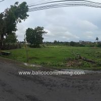 Land on Pererenan Gallery