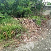 Land 300 sqm, For rent Gallery
