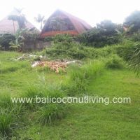 Land For Lease Umalas 3 are  Gallery