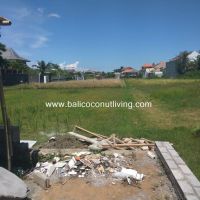 Land For Lease Berawa 2500 sqm Gallery