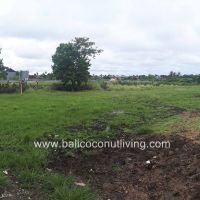 Land on Pererenan Gallery