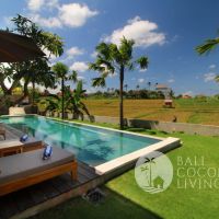 Villa Mahogany Berawa Gallery