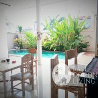 Villa Pineapple Gallery