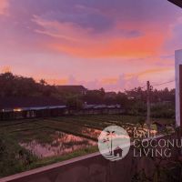 Villa Opad Berawa Gallery