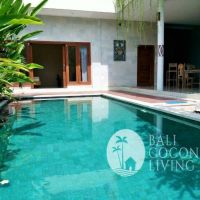 Villa Pineapple Gallery