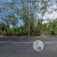 20,000 Sqm land, For sale Gallery