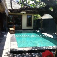 Villa Pisang Gallery