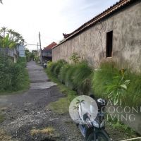 500 sqm, Land for rent Gallery