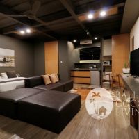 Alexandria Apartment Gallery