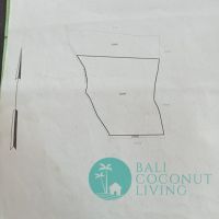 Land 300 sqm, For lease Gallery