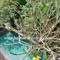 Villa Karaniya Gallery