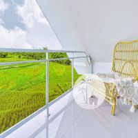 Snow White Apartment Gallery