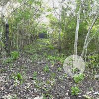 16.5 Are, Land for Sale Gallery