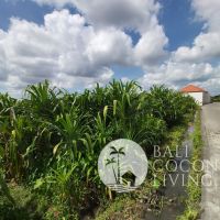 26 Are Land for lease Gallery