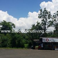 Land for sale 40 are-Candi Dasa Gallery