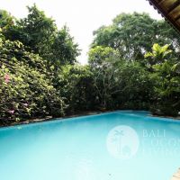 Joglo Galang Gallery